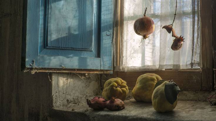 Emilia Valenciak 'Gauza xumeen xarma' erakusketa izango du hizpide Photomuseumen