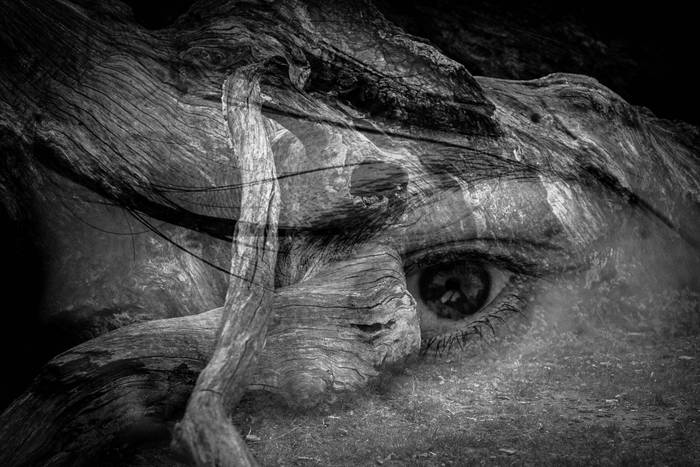 'Ni naiz, Idoia' erakusketa zabaldu dute gaur Photomuseumen