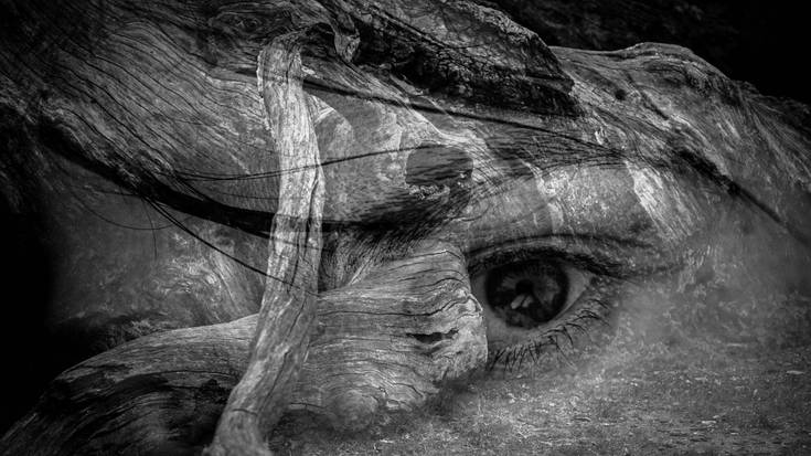 'Ni naiz, Idoia' erakusketa zabaldu dute gaur Photomuseumen