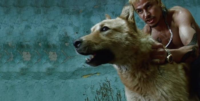 'Amores perros' filmarekin hasiko da bihar, Azpeitiko Gaztetxeko Gurutzatzen Diren Bizitzen zinema zikloa