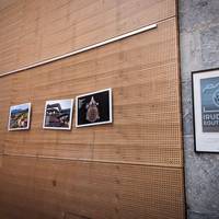 Irudhitzen erakusketa