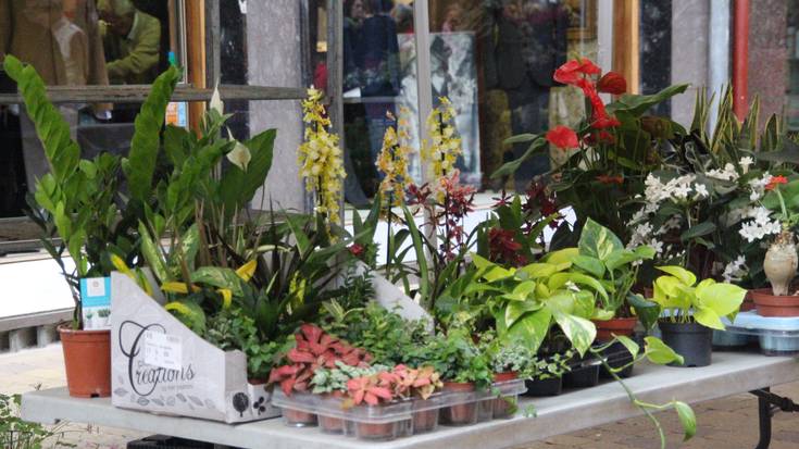 Udaberriko lore eta landareen XI. azoka ospatuko dute