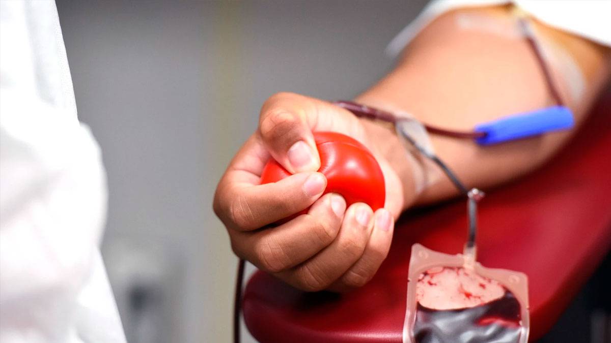 Odola emateko aukera izango da etzi, Elkargunean