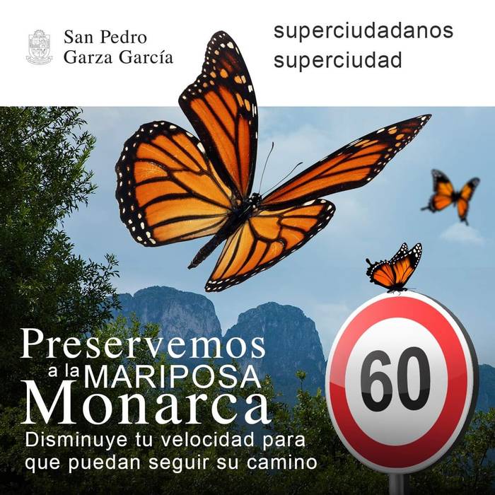 Inauteriak, natura eta turismoa