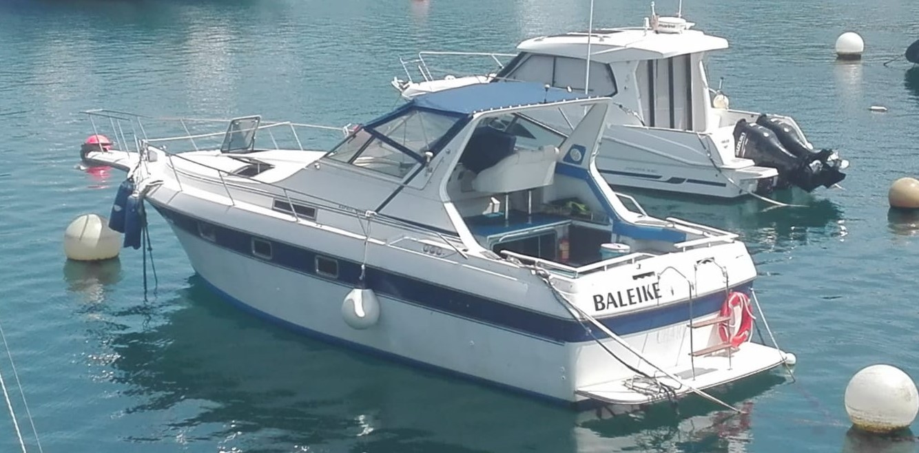 'Baleike' izeneko txalupa bat, Bermeon