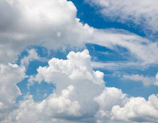 Lainoa eta ergelkeria