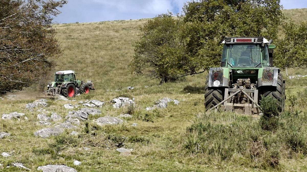 Errezilgo Mendibeltzen xehatze lanak egin ditu Gipuzkoako Foru Aldundiak