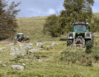 Errezilgo Mendibeltzen xehatze lanak egin ditu Gipuzkoako Foru Aldundiak