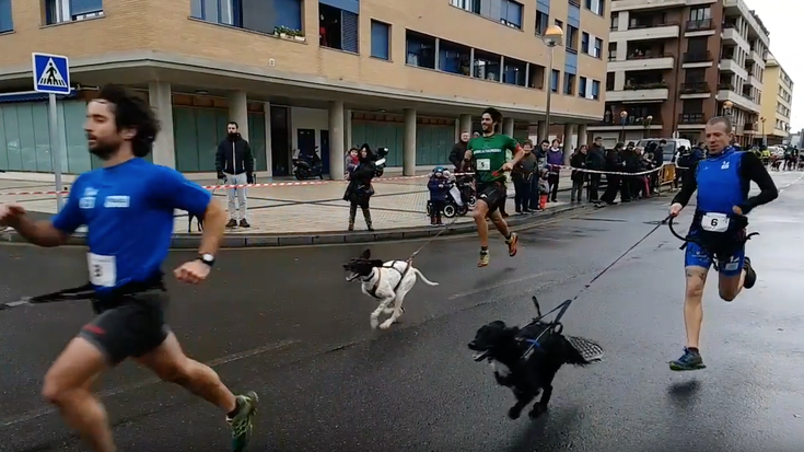 Zumaiako VI. mushing lasterketa: txakurkrosaren irteerako bideoa