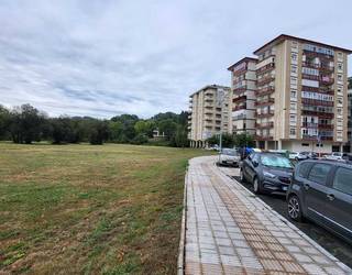 Hezeguneetako bioaniztasunaren inbentarioa egingo du udalak