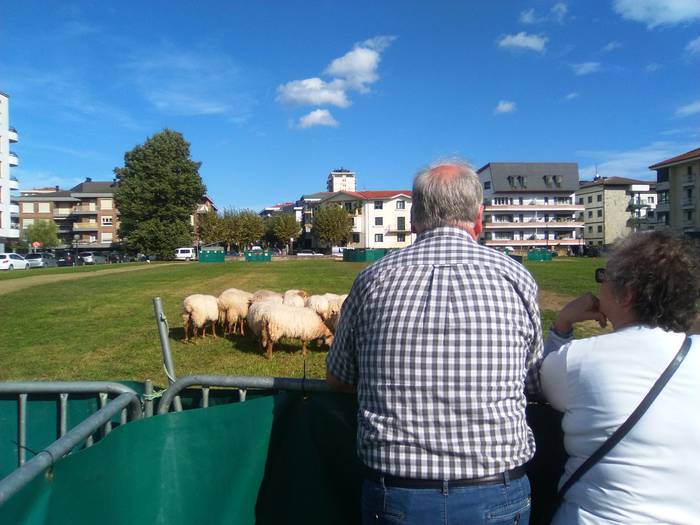 Arraza Libreko XIII. Ardi Txakur Txapelketa jokatuko dute larunbatean Iritan