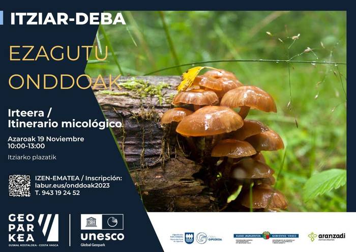 'Ezagutu onddoak' irteera mikologikoa