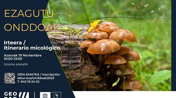 'Ezagutu onddoak' irteera mikologikoa
