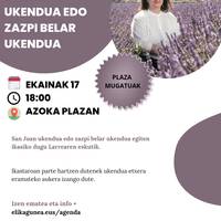 Ikastaroa: 'San Juan ukendua edo zazpi belar ukendua', Garbiñe Larrearekin