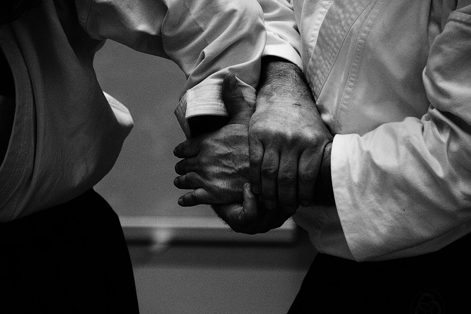 Nazioarteko Aikido ikastaroa egingo dute bosgarrenez Azkoitian