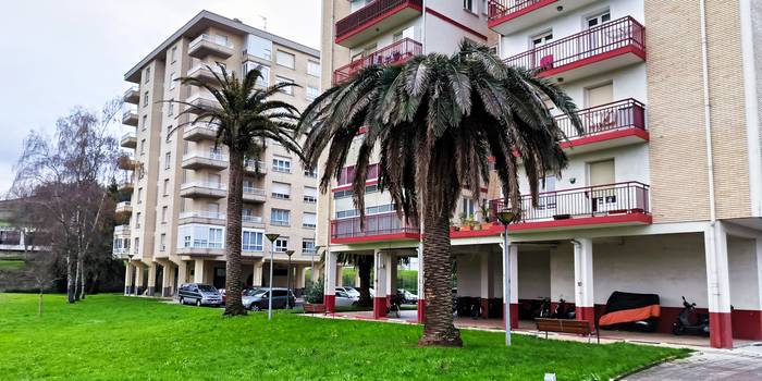 Pikudo gorriak kaltetutako hiru palmondo moztuko dituzte Itxasmendin