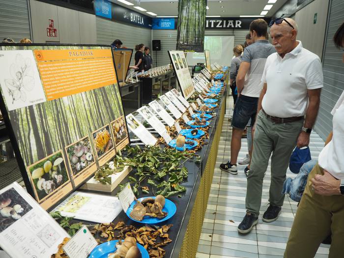 Perretxikoen mundura bidaia Merkatu plazan