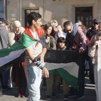 Palestinaren aldeko elkarretaratzea