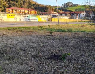 Aterpe klimatikoan landatu dituzten zuhaixkak zaintzeko eskatu du udalak