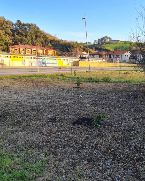 Aterpe klimatikoan landatu dituzten zuhaixkak zaintzeko eskatu du udalak