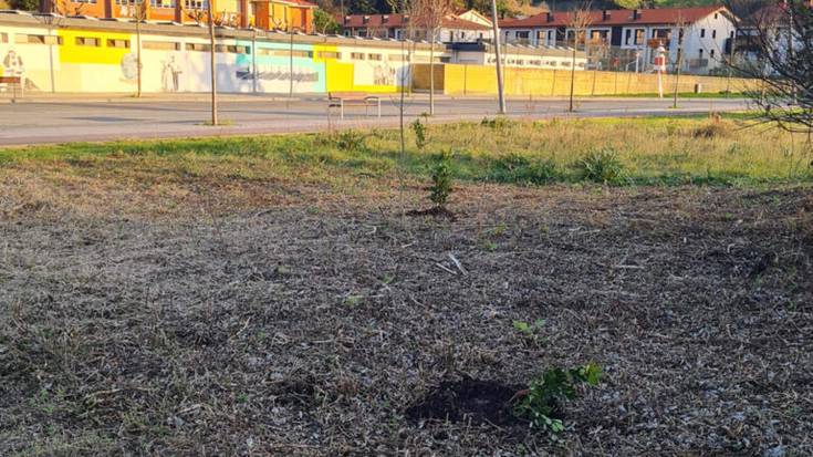 Aterpe klimatikoan landatu dituzten zuhaixkak zaintzeko eskatu du udalak