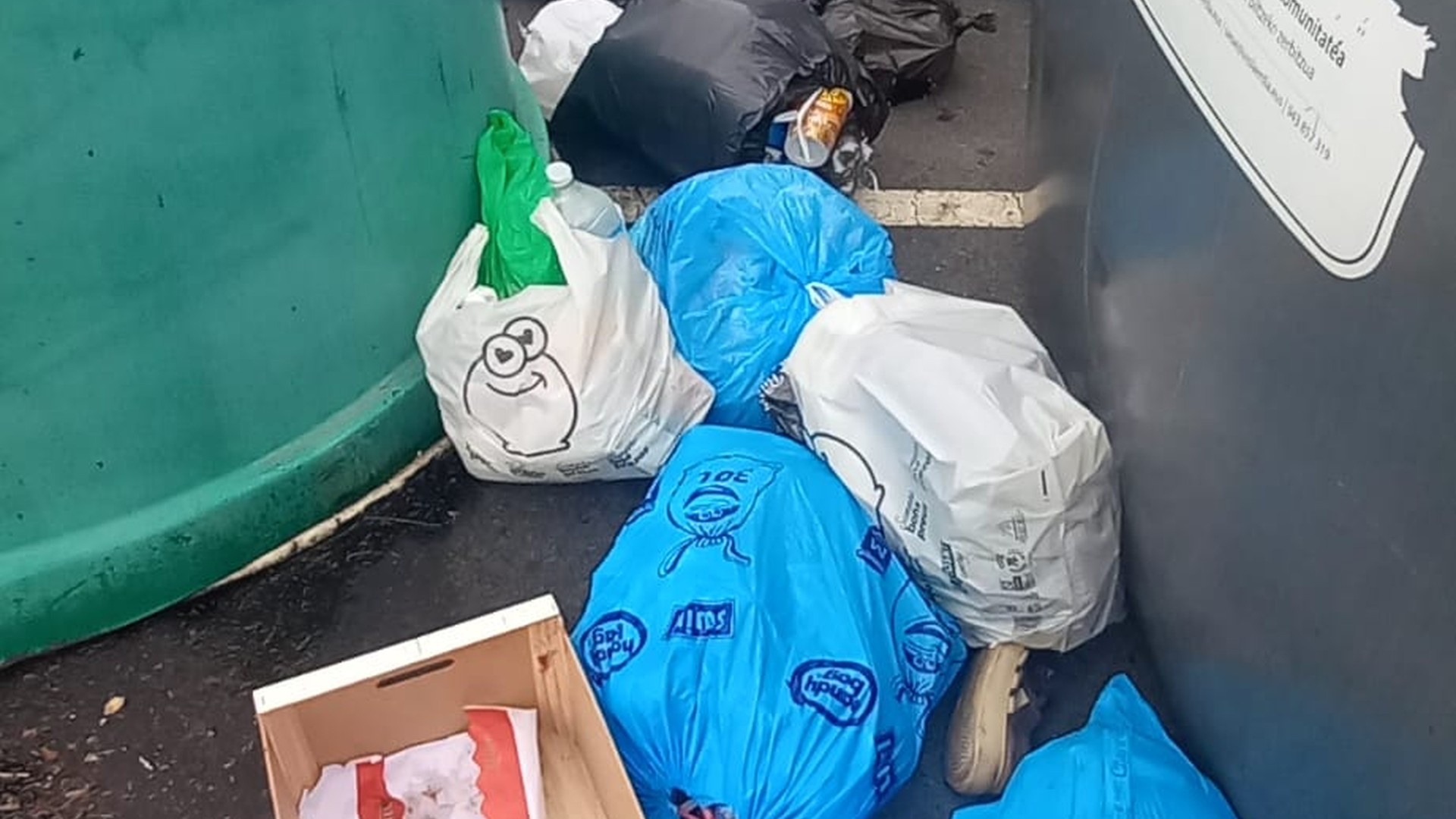 Txartel berriak martxan direnetik, zabor poltsak lurrean