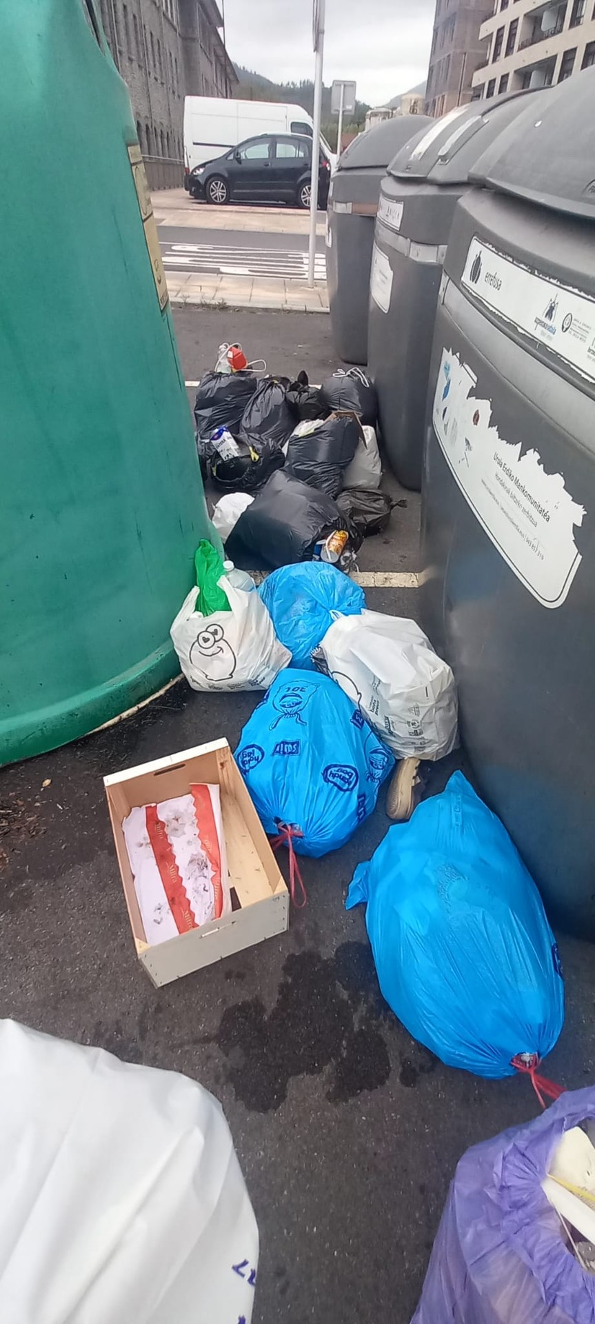Txartel berriak martxan direnetik, zabor poltsak lurrean