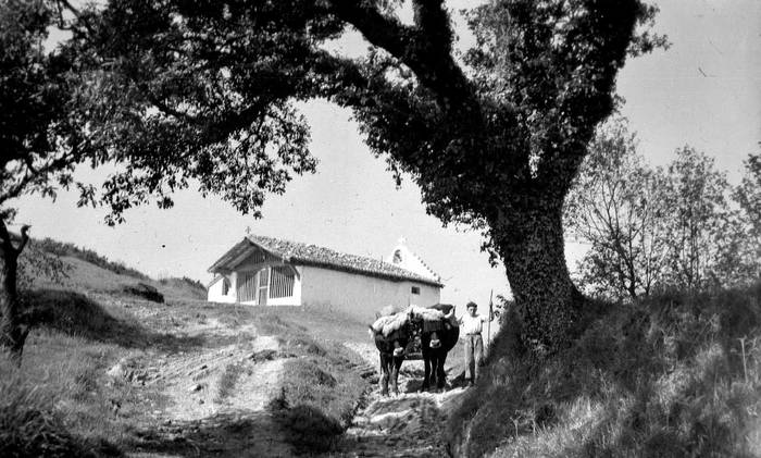 Haur bat idi bikote batekin, Elkanon